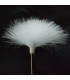 BOUQUET PLUMES DE MARABU
