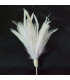 BOUQUET PLUMES D´OIE/COQ