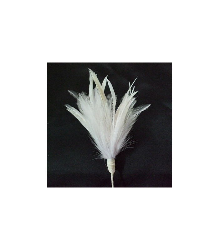 BOUQUET PLUMES D´OIE/COQ