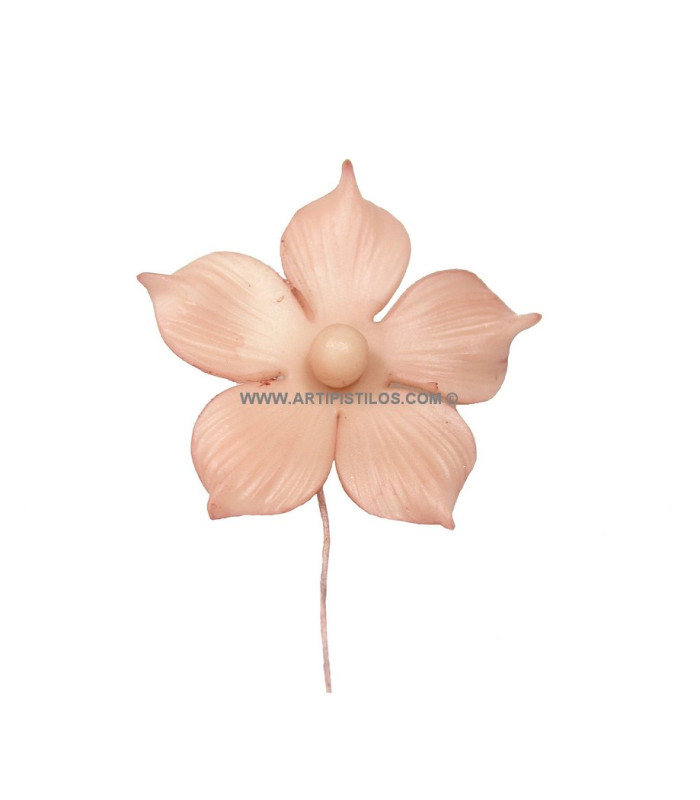 FLEUR DE PORCELAINE FROID