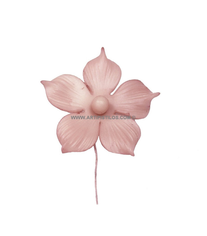 FLEUR DE PORCELAINE FROID