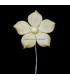 FLEUR DE PORCELAINE FROID