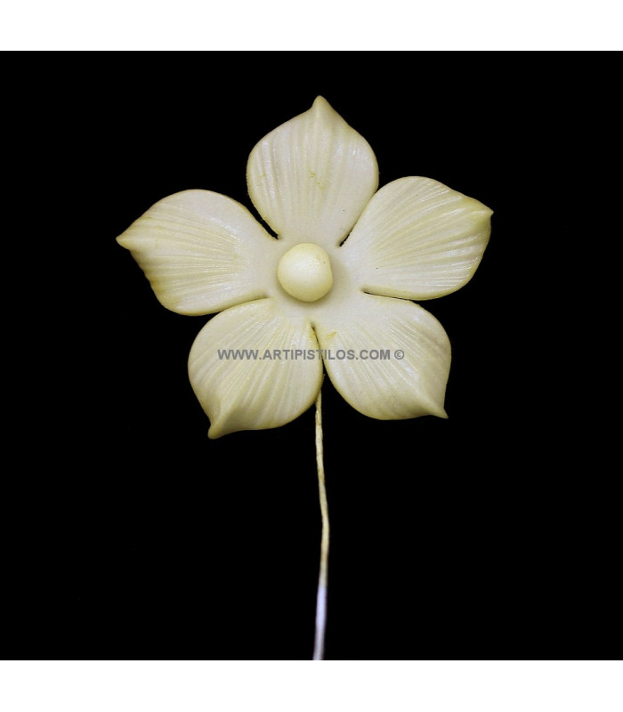 FLEUR DE PORCELAINE FROID