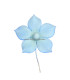 FLEUR DE PORCELAINE FROID