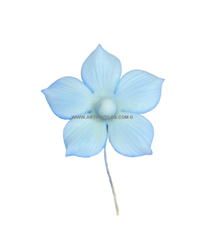 FLEUR DE PORCELAINE FROID