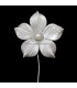 FLEUR DE PORCELAINE FROID