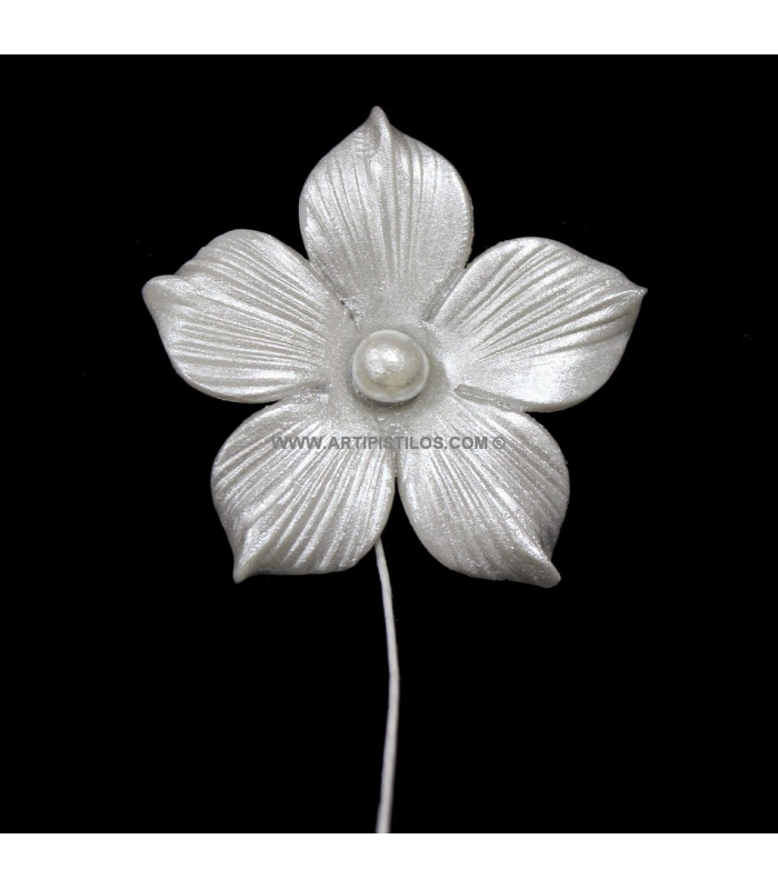 FLEUR DE PORCELAINE FROID