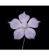 FLEUR DE PORCELAINE FROID