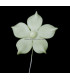 FLEUR DE PORCELAINE FROID