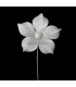 FLEUR DE PORCELAINE FROID