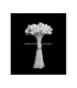 Bouquet de 80 pistils brillants 3,3 MM.