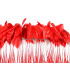 PLUMES DE COQ. RUBAN PREMIÉRE QUALITÉ  - 10 CMS.
