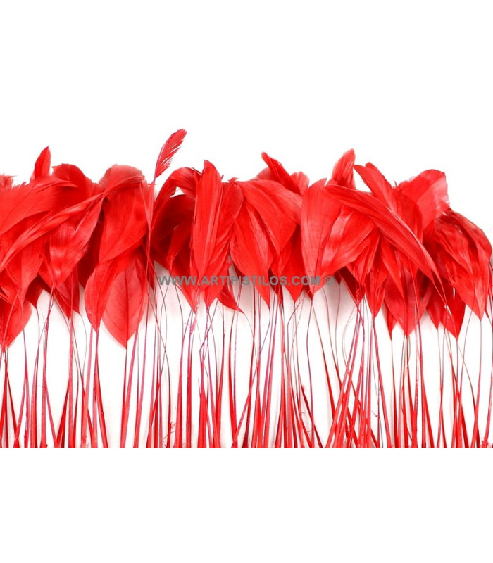 PLUMES DE COQ. RUBAN PREMIÉRE QUALITÉ  - 10 CMS.