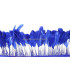 PLUMES DE COQ. RUBAN PREMIÉRE QUALITÉ  - 10 CMS.