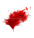 MONTAGE DE PLUMES 35 x 12 cm