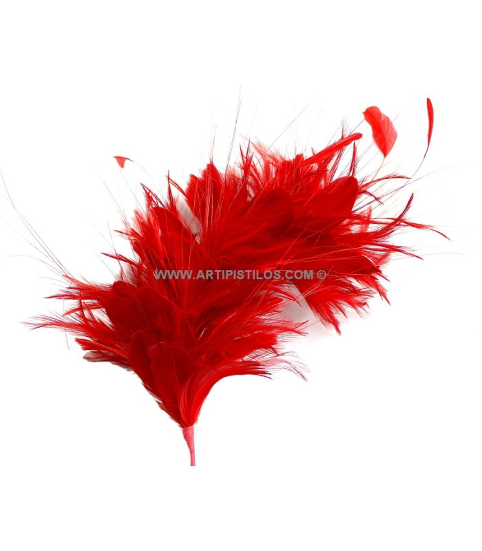 MONTAGE DE PLUMES 35 x 12 cm