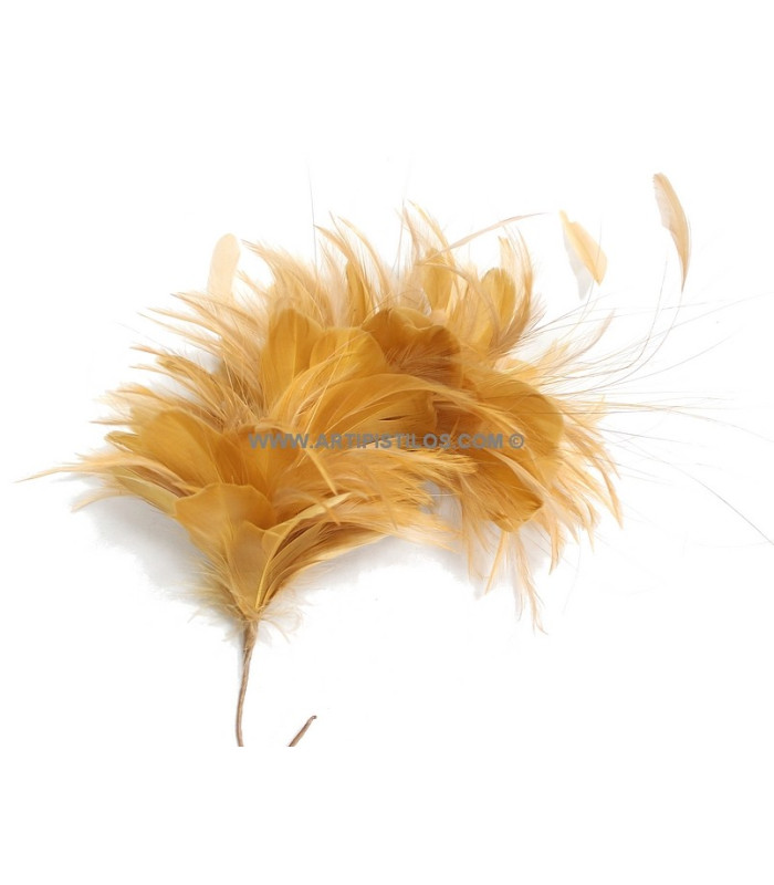 MONTAGE DE PLUMES 35 x 12 cm