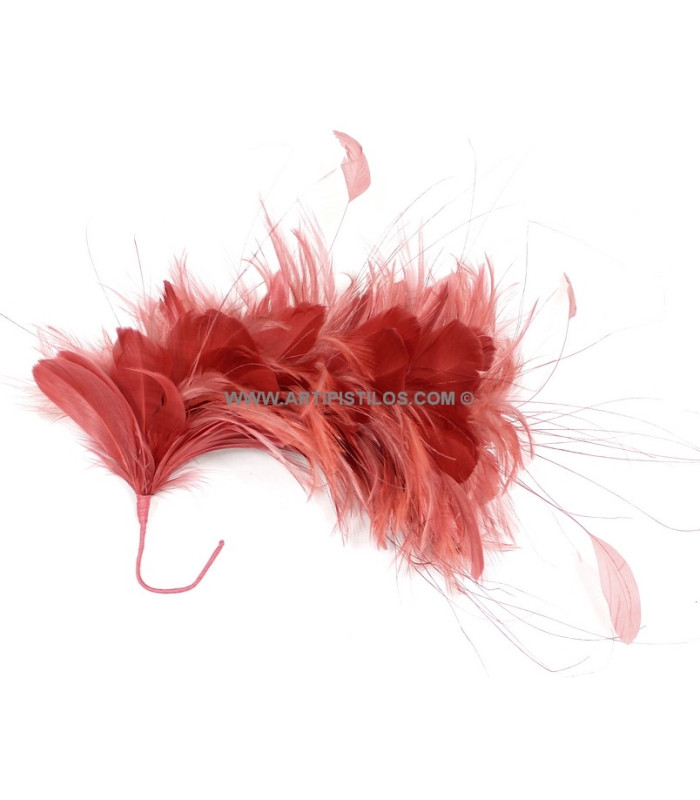 MONTAGE DE PLUMES 35 x 12 cm