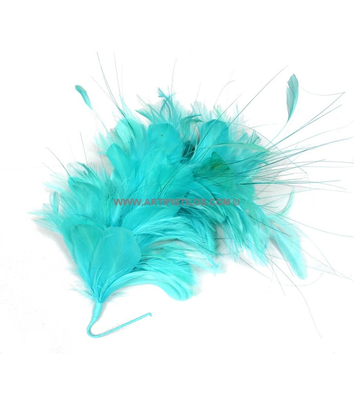 MONTAGE DE PLUMES 35 x 12 cm