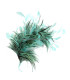 MONTAGE DE PLUMES