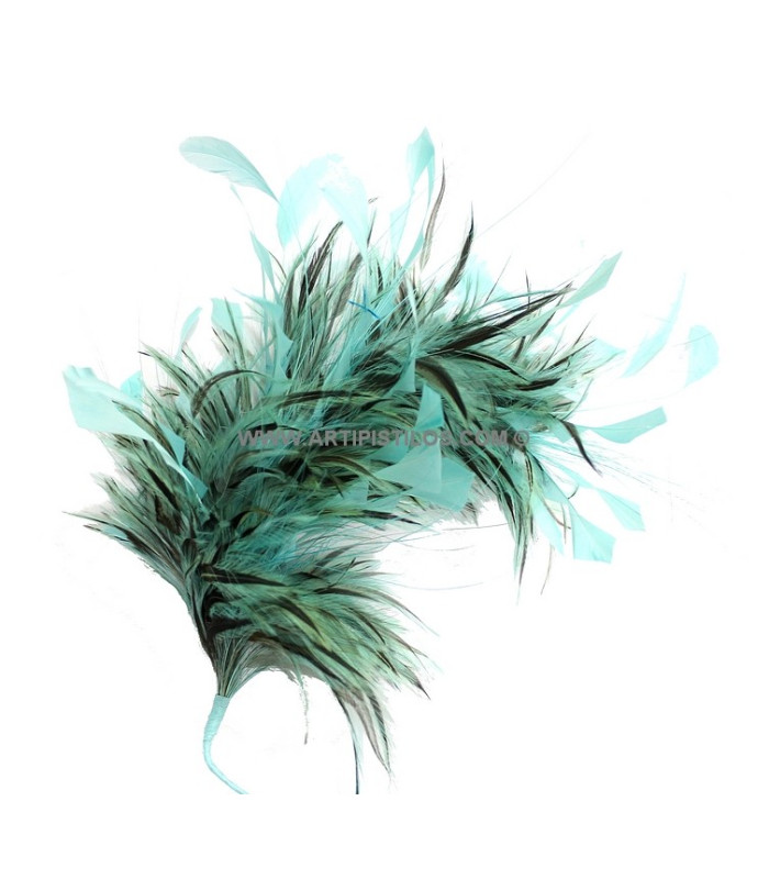MONTAGE DE PLUMES