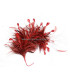 MONTAGE DE PLUMES
