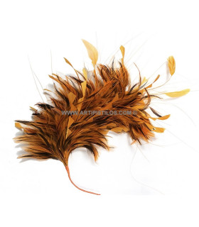 Montage de plumes de coq 35 x 15 cm