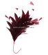 MONTAGE DE PLUMES COQ/AUTRUCHE/OIE