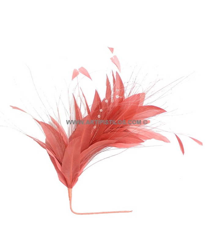 MONTAGE DE PLUMES COQ/AUTRUCHE/OIE