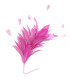 MONTAGE DE PLUMES COQ/AUTRUCHE/OIE
