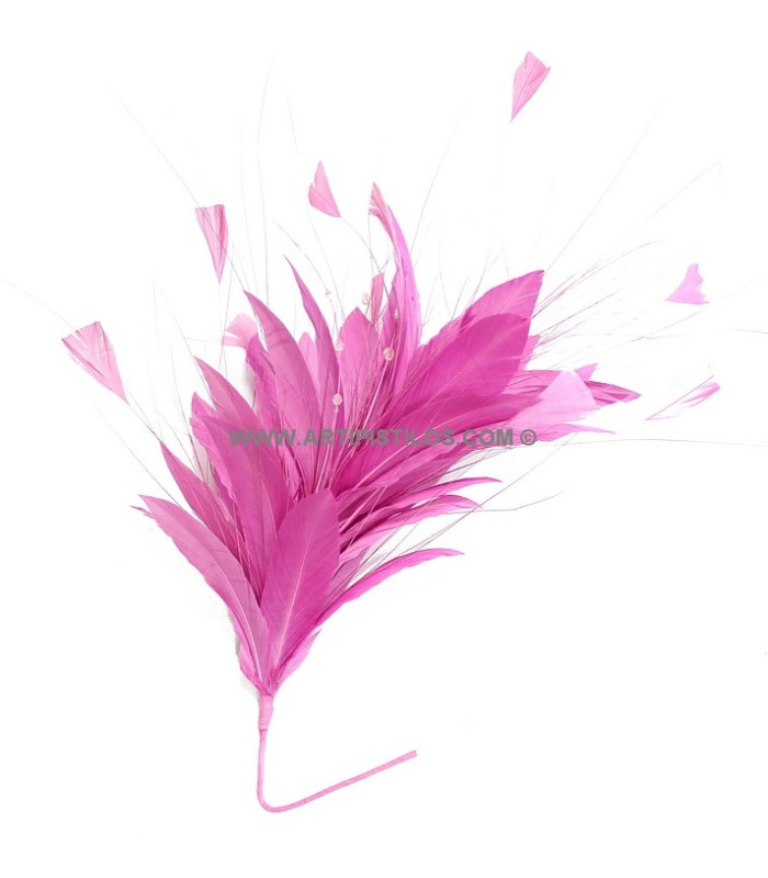 MONTAGE DE PLUMES COQ/AUTRUCHE/OIE