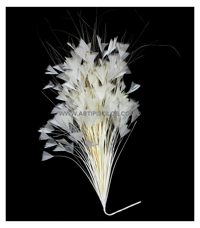 ASSEMBLAGE DE PLUMES 30 X 15 cm