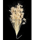 ASSEMBLAGE DE PLUMES 30 X 15 cm