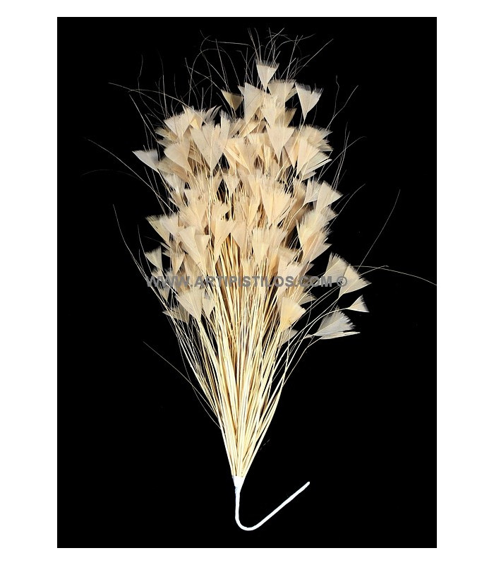 ASSEMBLAGE DE PLUMES 30 X 15 cm