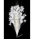ASSEMBLAGE DE PLUMES 30 X 15 cm