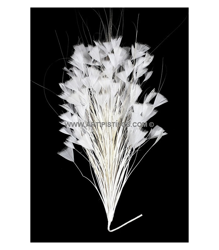 ASSEMBLAGE DE PLUMES 30 X 15 cm