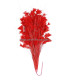 ASSEMBLAGE DE PLUMES 30 X 15 cm