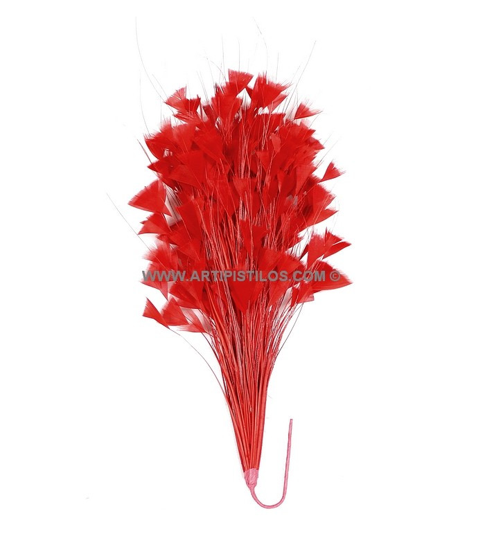 ASSEMBLAGE DE PLUMES 30 X 15 cm