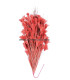 ASSEMBLAGE DE PLUMES 30 X 15 cm
