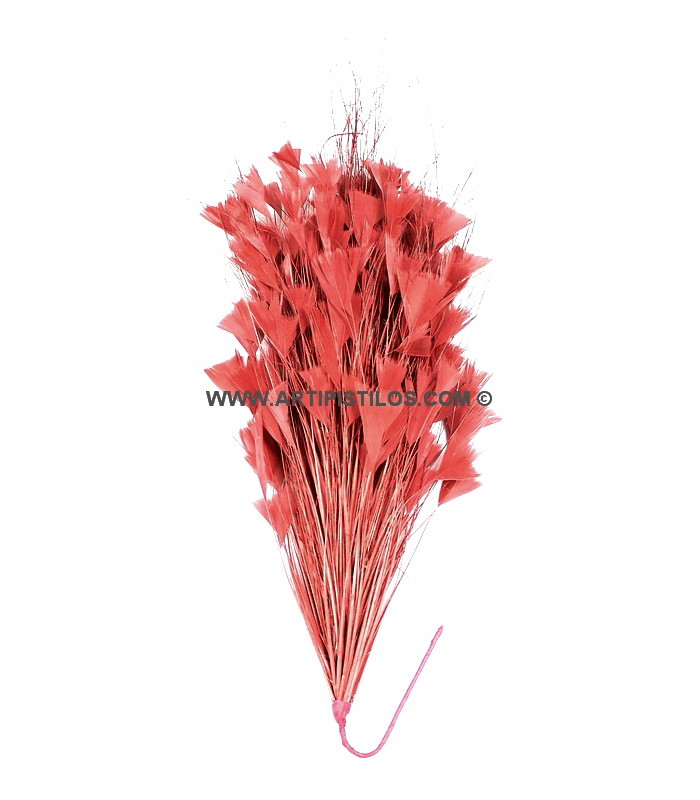 ASSEMBLAGE DE PLUMES 30 X 15 cm