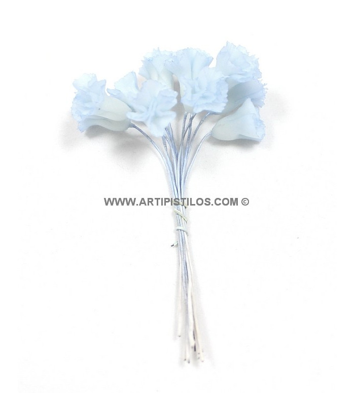 FLEUR DE PORCELAINE FROID
