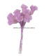 FLEUR DE PORCELAINE FROID