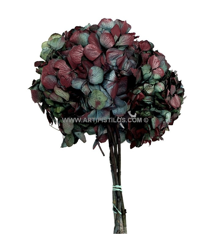 BOUQUET HORTENSIA PRÉSERVÉE