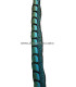 PLUME DE FAISAN LADY AMHERST 55 - 60 CMS.