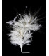 MONTAGE DE PLUMES