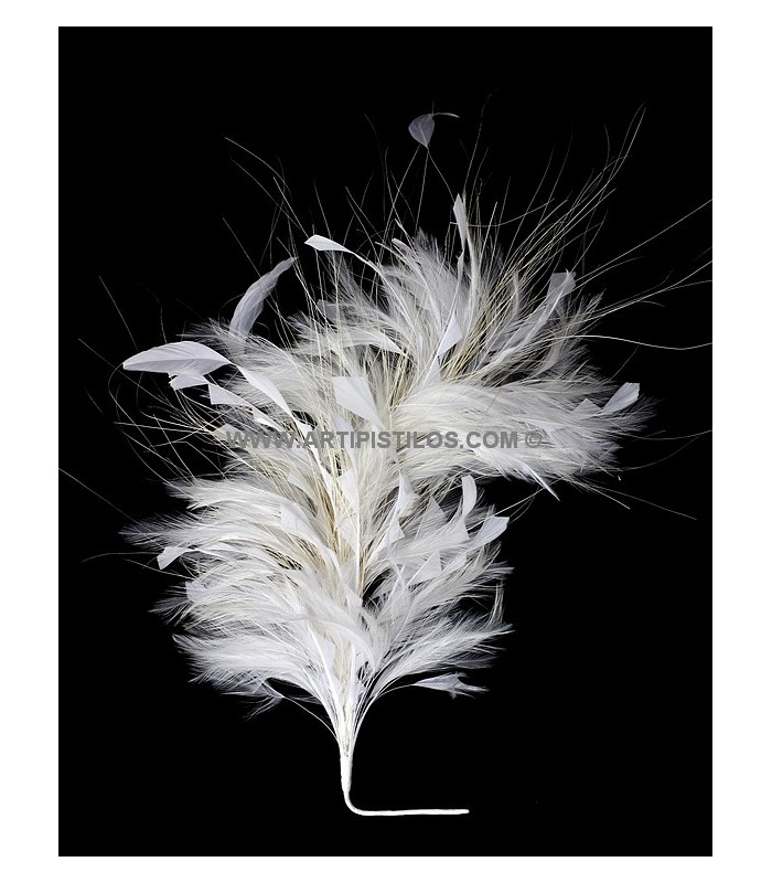 MONTAGE DE PLUMES