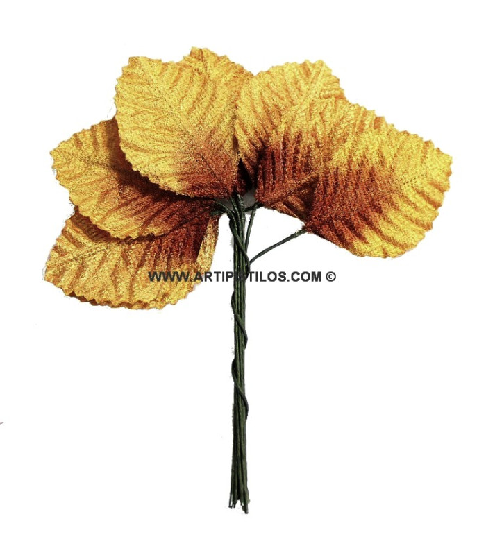 HOJAS DE TERCIOPELO