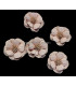 FLOR POLIPIEL 1ª CALIDAD