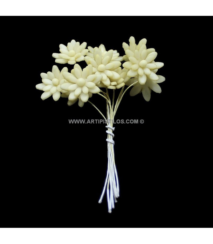 FLEUR DE PORCELAINE FROID