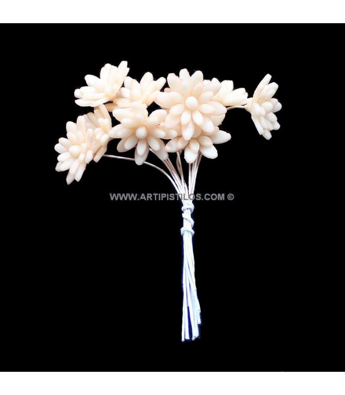 FLEUR DE PORCELAINE FROID